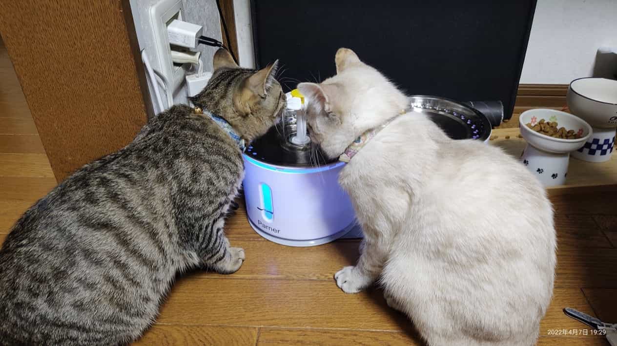 猫ちゃんUV除菌スマート給水器